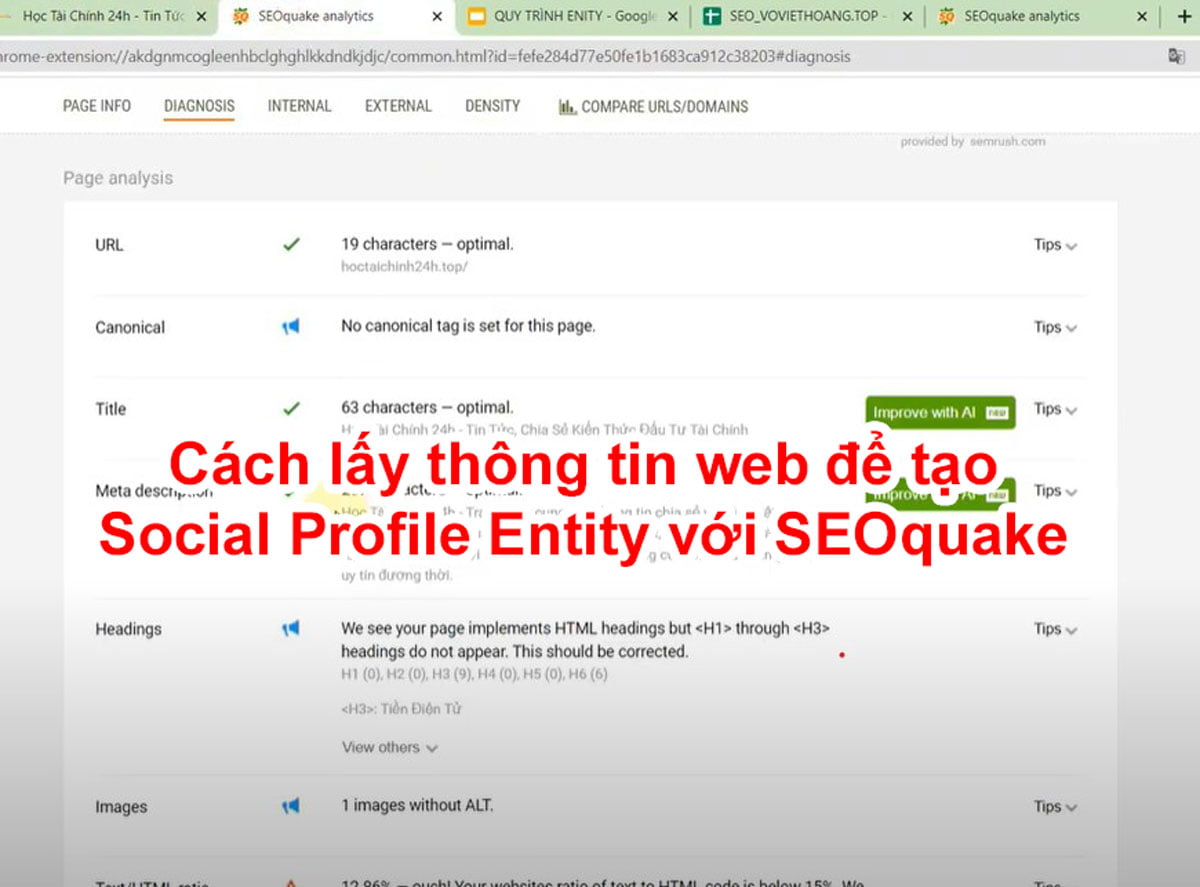 Cách lấy thông tin web để tạo Social Profile Entity với SEOquake