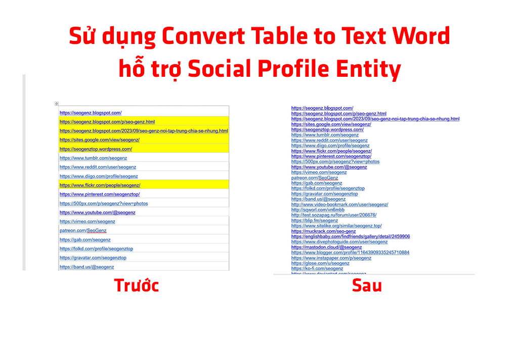 Sử dụng Convert Table to Text Word hỗ trợ Social Profile Entity