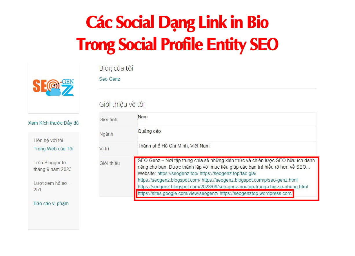 Các Social Dạng Link in Bio Trong Social Profile Entity SEO