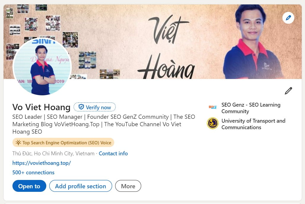 Profile Linkedin Võ Việt Hoàng SEO