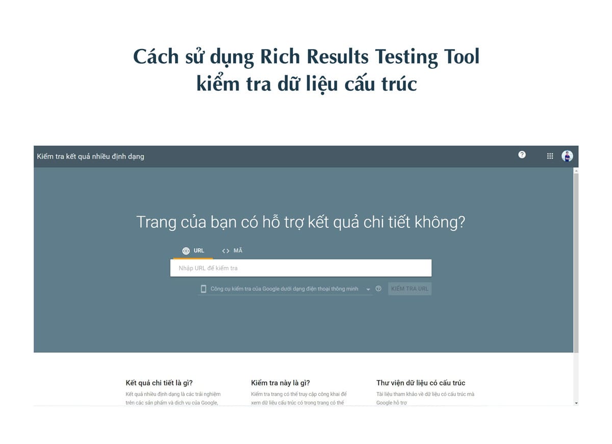 Cách sử dụng Rich Results Testing Tool kiểm tra dữ liệu cấu trúc