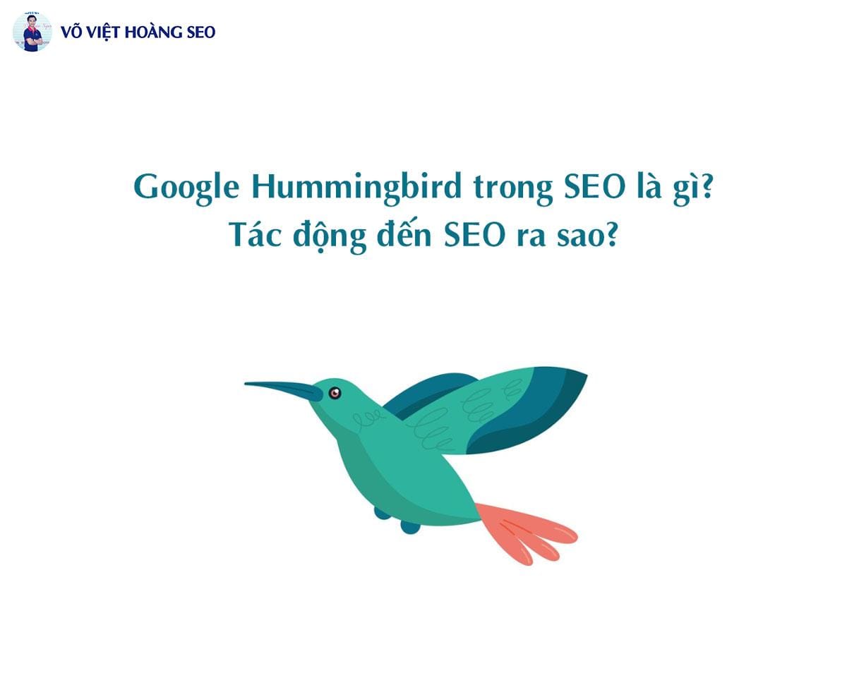 Google Hummingbird trong SEO là gì? Tác động đến SEO ra sao?