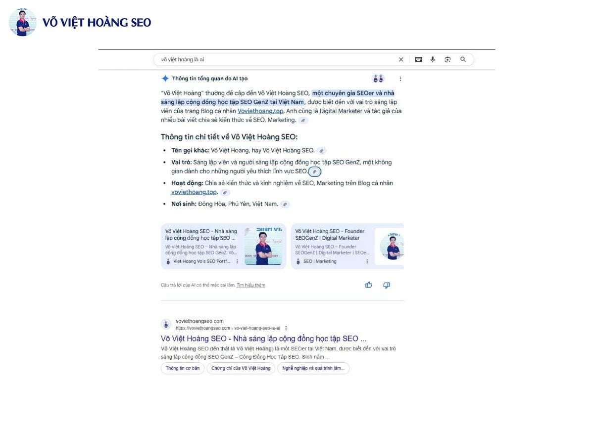 AI Overview trả lời nhanh khi search Võ Việt Hoàng là ai trên Google Search